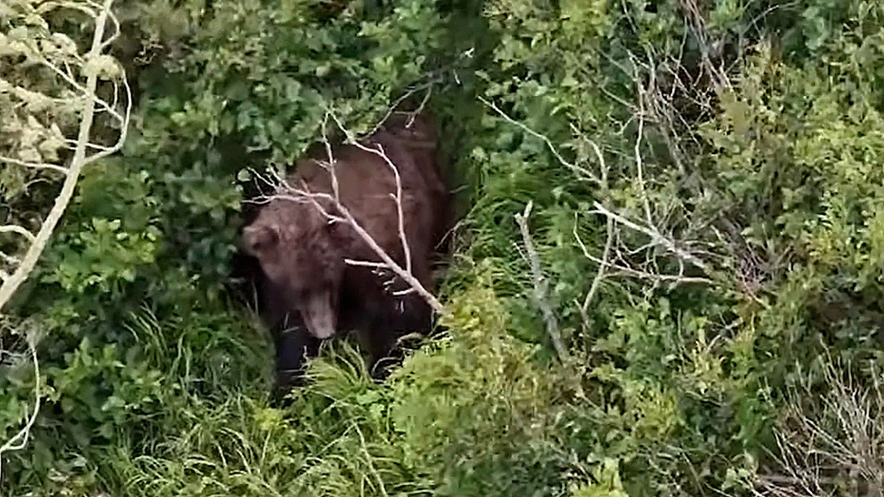 bear-anchorage-thumb.jpg