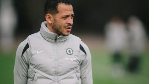 large_rosenior_fbaa3fdf05.jpg