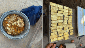 GOLD-FOUND-IN-BELGIUM.gif