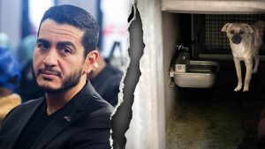 abdul-el-sayed-dogs.jpg