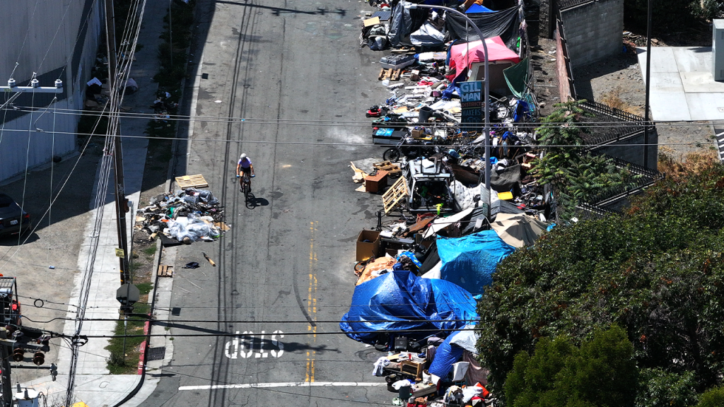 berkeley-encampment-harrison-fox-news.png