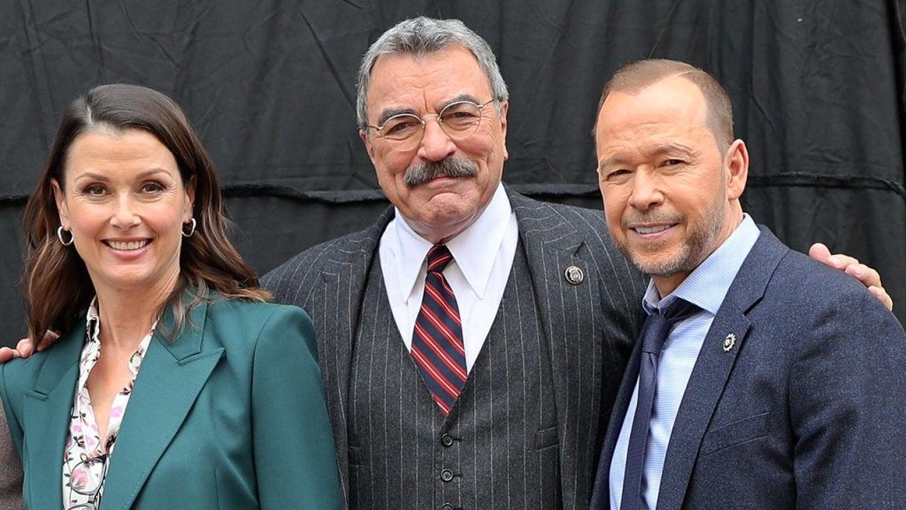 blue-bloods-cast.jpg