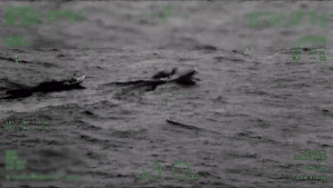 coast-guard-seizes-coke-in-puerto-rico.gif
