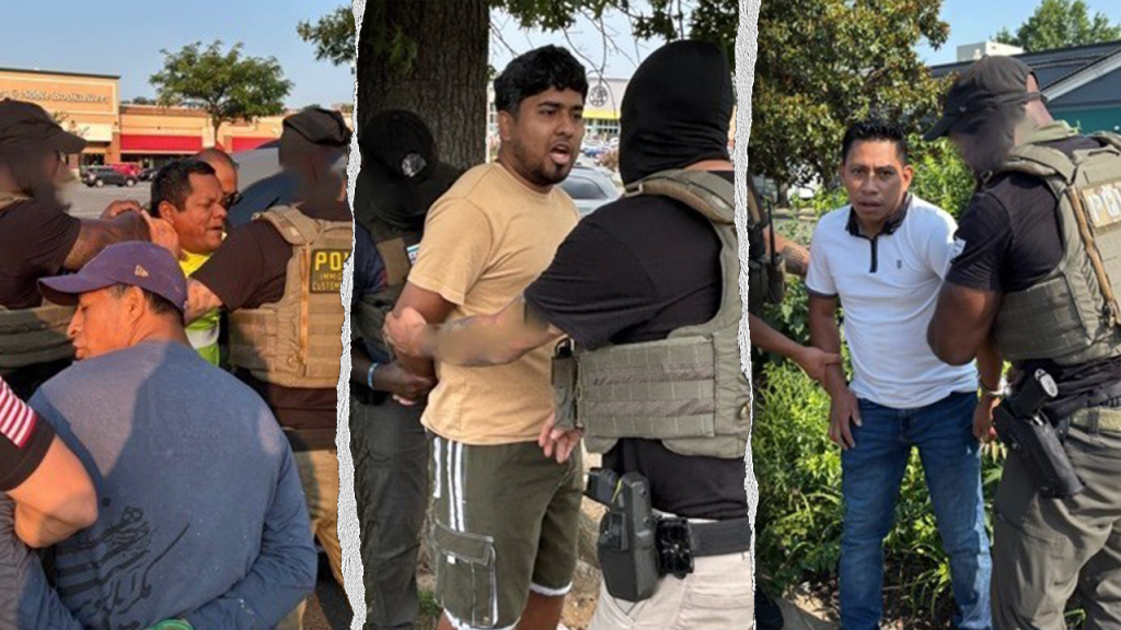 ice-dc-area-operation-compilation.png
