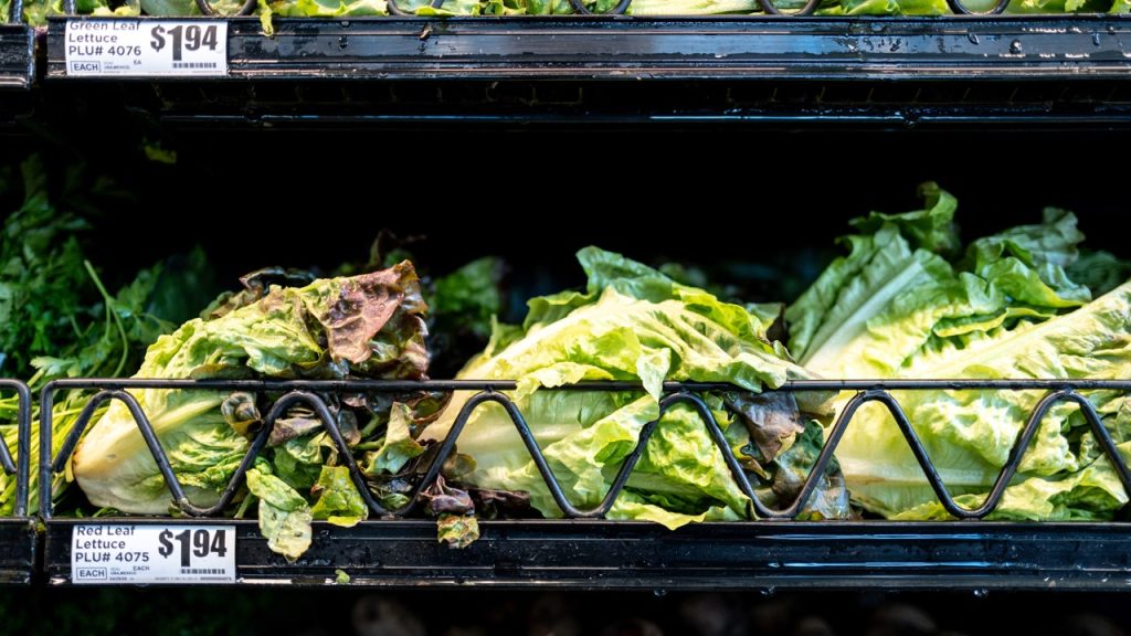 iceberg-lettuce-cyclosporiasis-outbreak.jpg