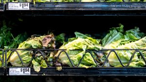iceberg-lettuce-cyclosporiasis-outbreak.jpg