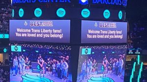 new-york-liberty.jpeg