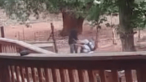 nyc-hiker-stabbed-az.gif
