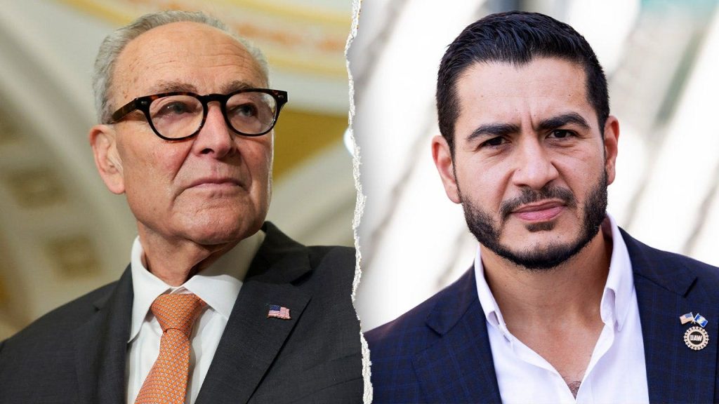 schumer-el-sayed-split.jpg