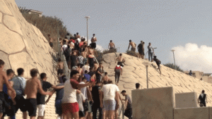 spain-migration.gif