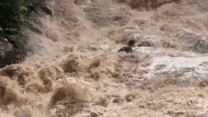 waterfall-thailand.gif