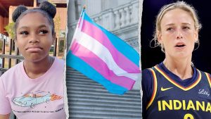 woman-trans-flag-cunningham-split.jpg